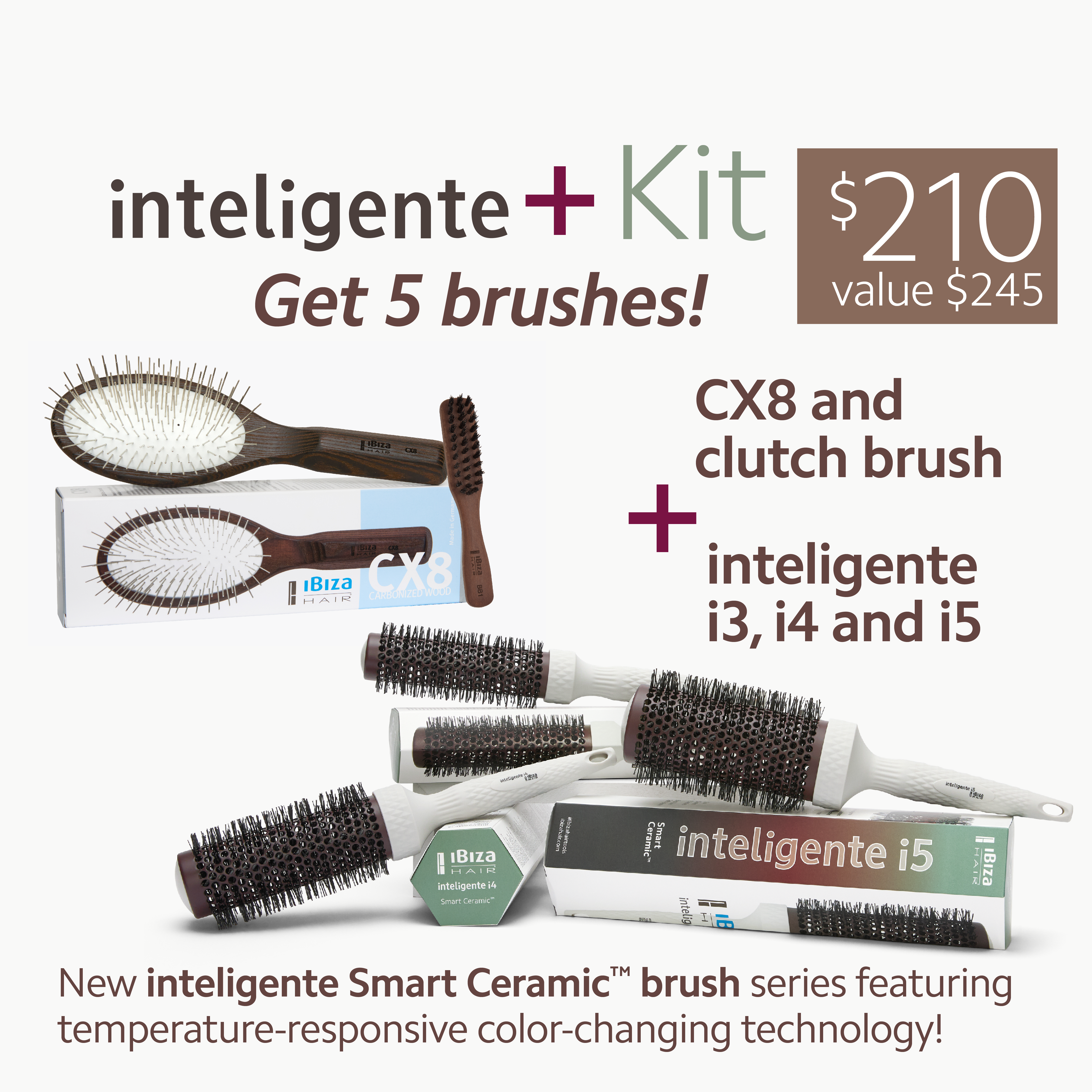 Ibiza Hair Intelligente + Kit brosses rondes 5 pièces céramique
