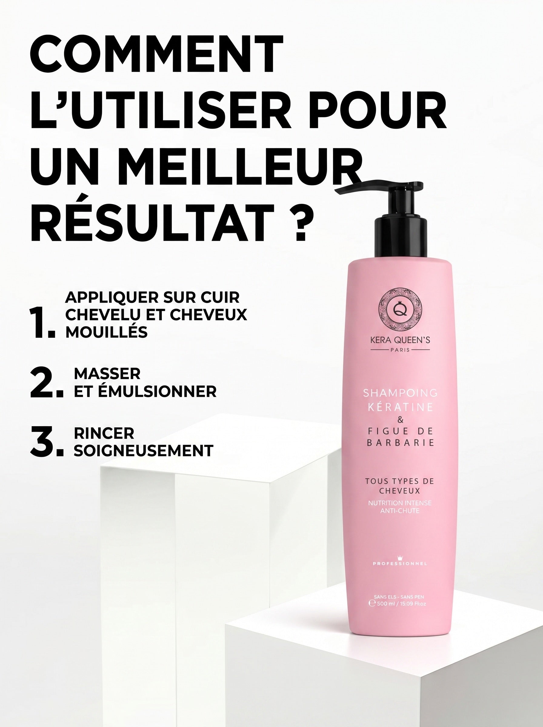 Kera Queen's Rituel Figue de Barbarie kit cheveux colorés